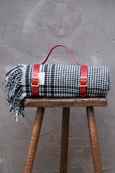 Picnic straps