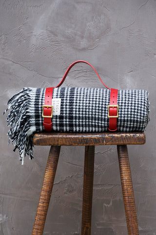 Picnic straps